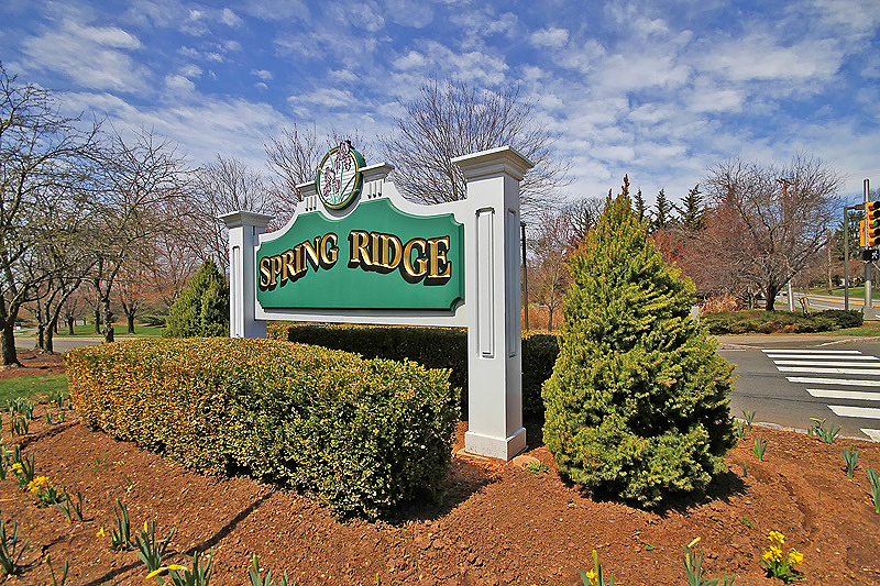Property Photo: 132 Smithfield Ct 132 NJ 07920