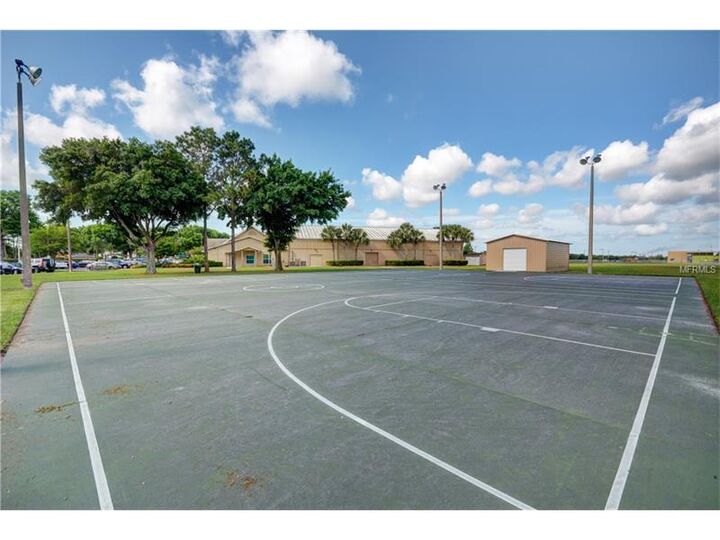 Property Photo:  11011 Whittney Chase Drive  FL 33579 