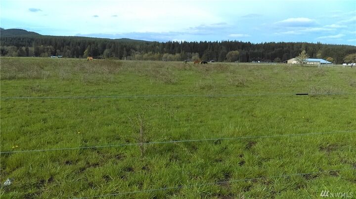 Property Photo: 0 Doty Dryad Rd WA 98532