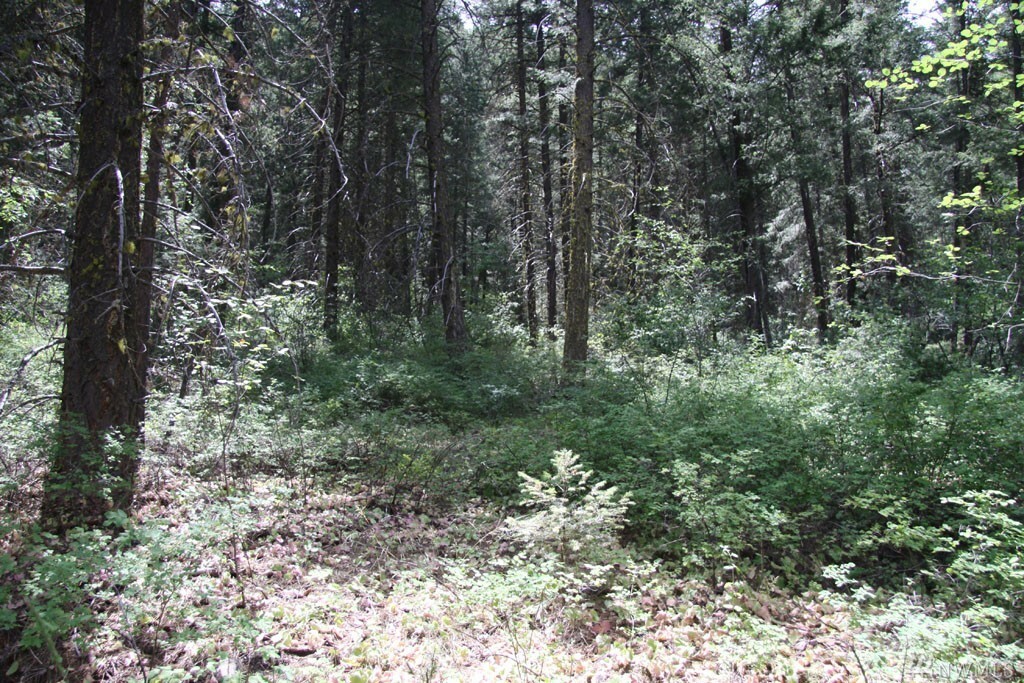 Property Photo:  0 Alder Creek Rd  WA 98856 