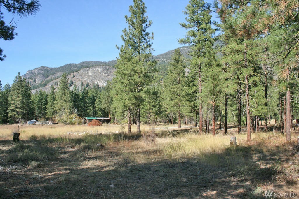 Property Photo:  33 Country Rd  WA 98833 