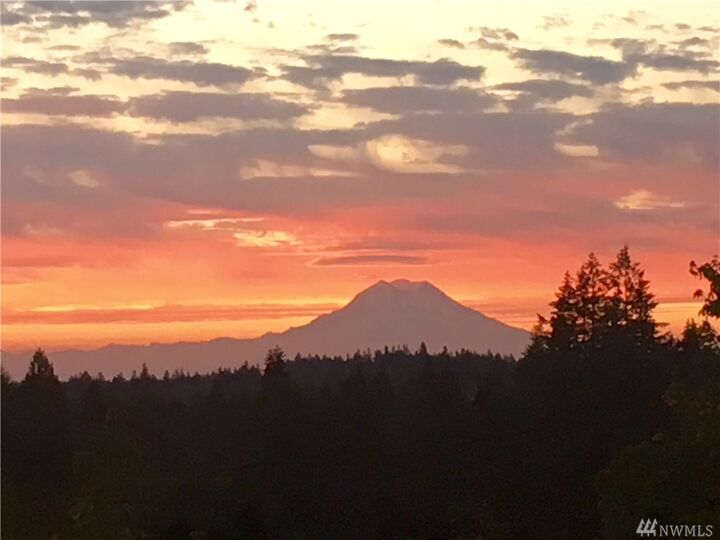 Property Photo:  141 Hawthorne Lane  WA 98584