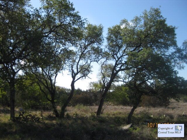 Property Photo: 2341 (Lot 598A) Haven Bluff Court TX 78132