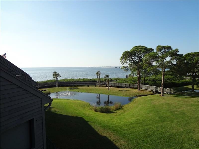 Property Photo:  377 Windrush Loop  FL 34689 