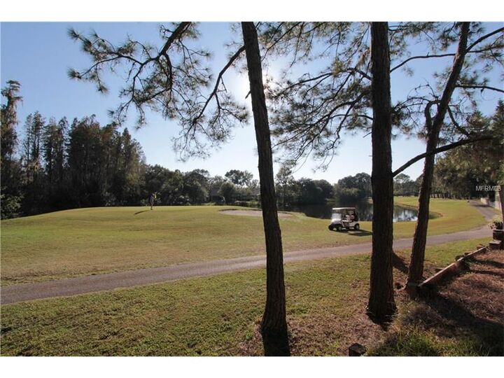 Property Photo:  5207 Northdale Boulevard  FL 33624 