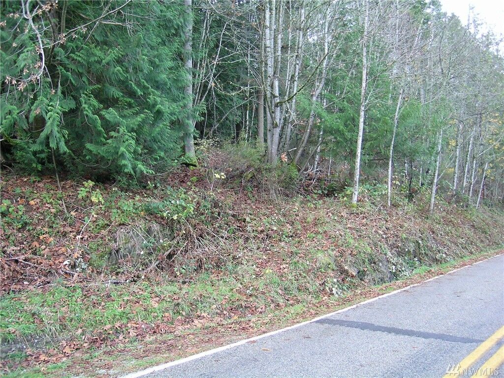 Property Photo:  341 W Alder St  WA 98284 