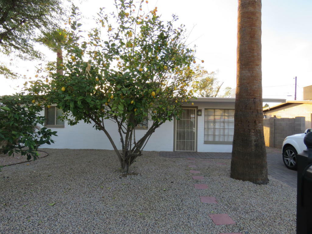 Property Photo:  312 S Robert Road  AZ 85281 