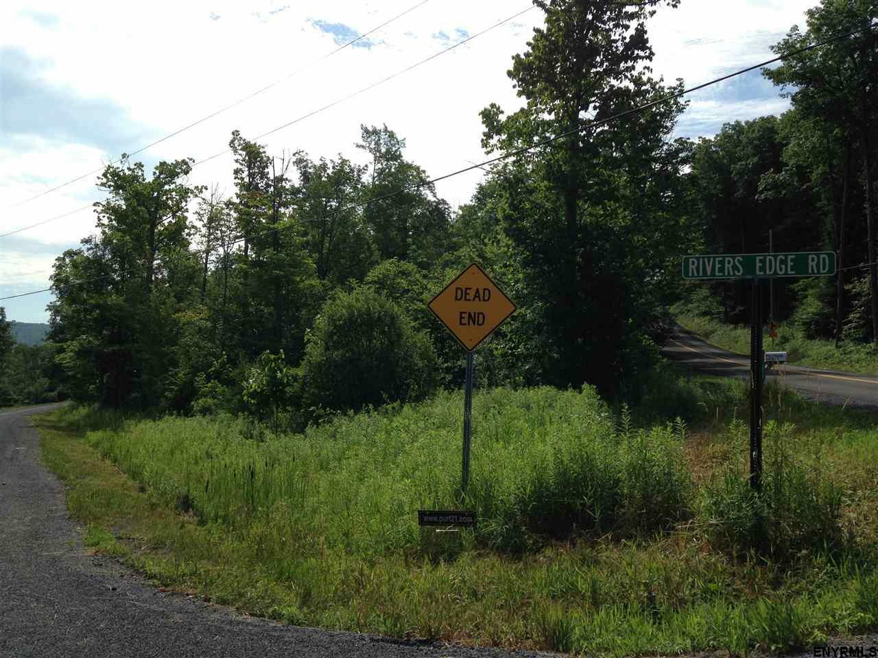 Property Photo:  00 Burtonsville Road  NY 12066 