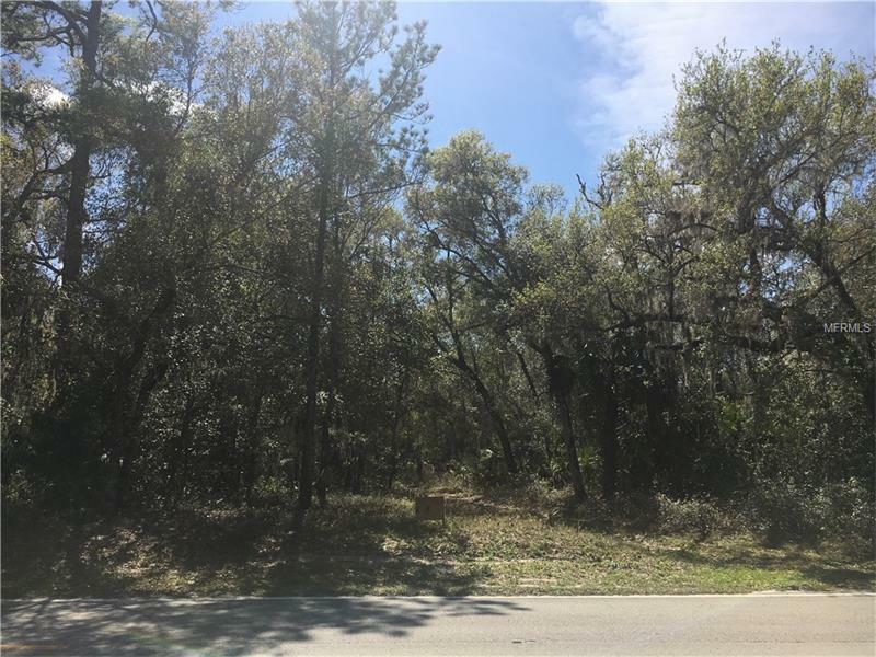 Property Photo:  Lake Harney Road  FL 32732 