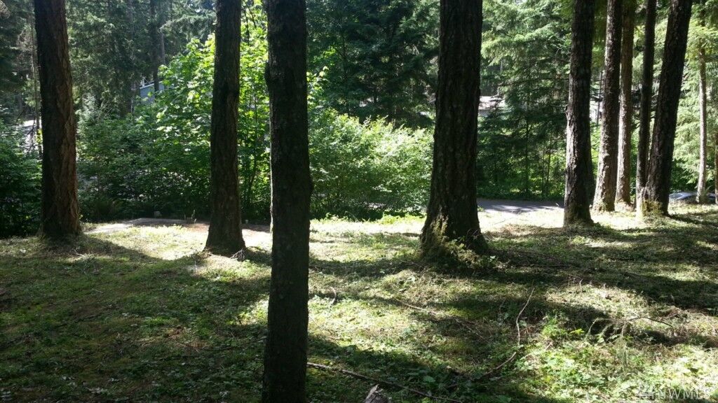 Property Photo:  18410 Rampart Ct SE  WA 98597 