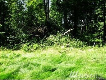 4411 (Lot 4) 142nd Dr NE  Lake Stevens WA 98258 photo