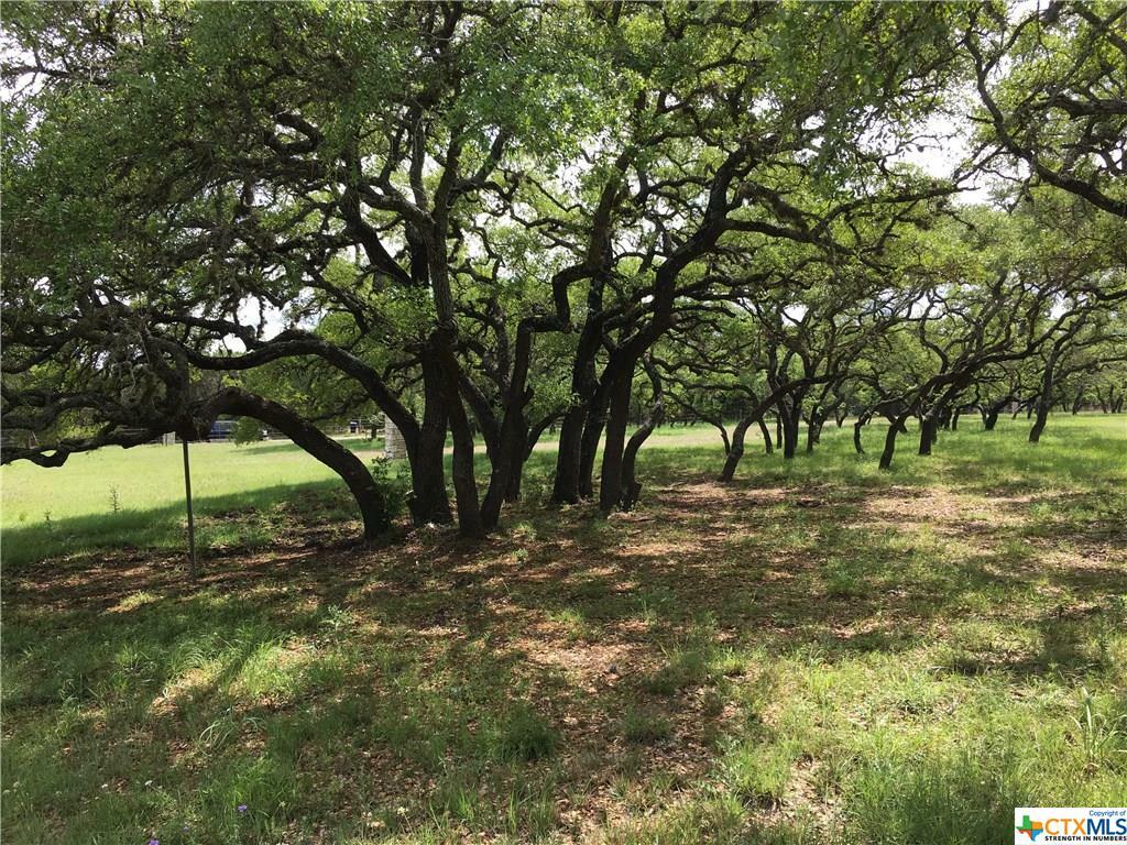 Property Photo:  Tbd Mount Sharp Road  TX 78676 