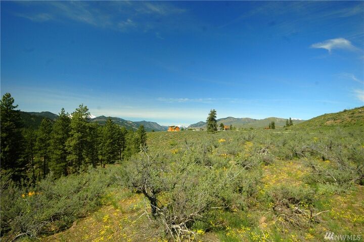 Property Photo:  27 Palomino Dr  WA 98862 