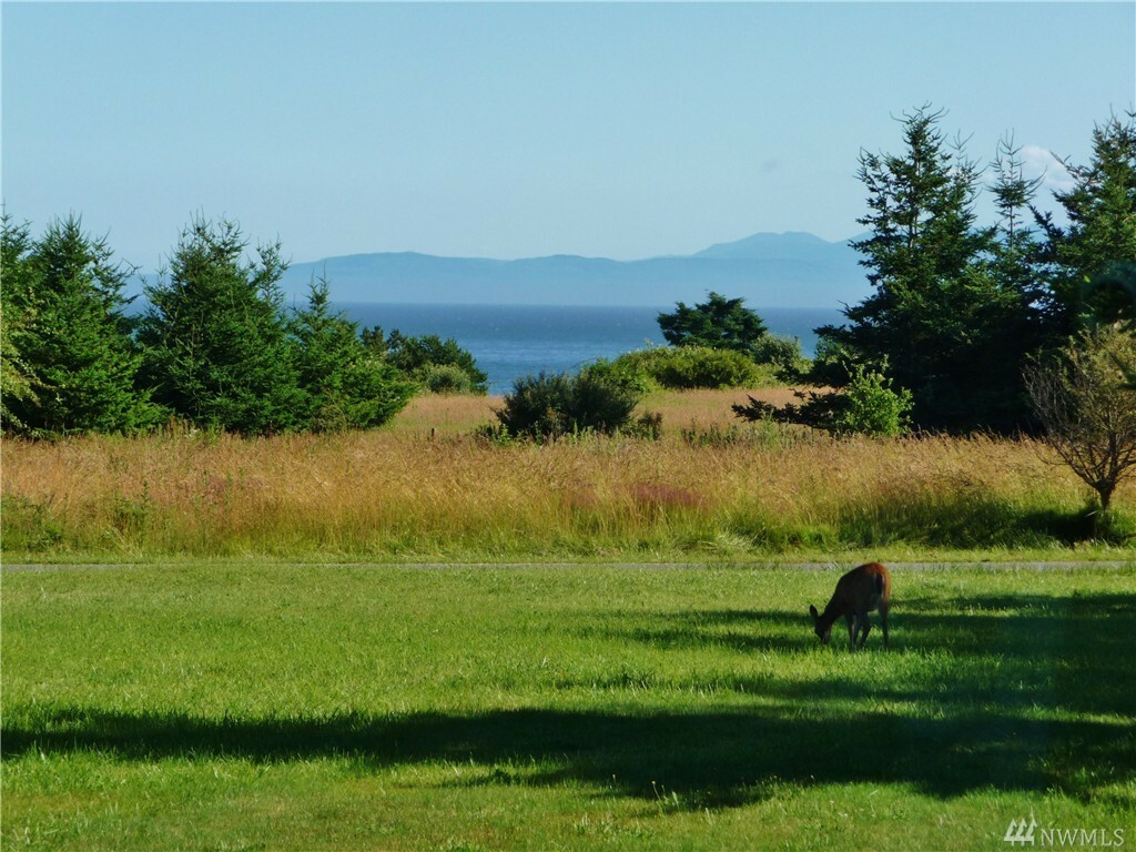 Property Photo: 354 Ocean View Dr WA 98250