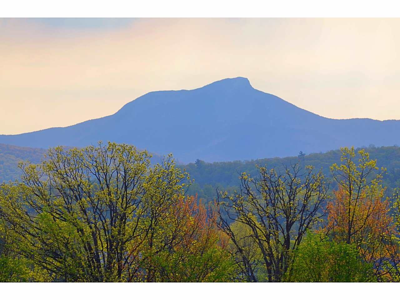 Property Photo: 6307 Mt Philo Road VT 05445