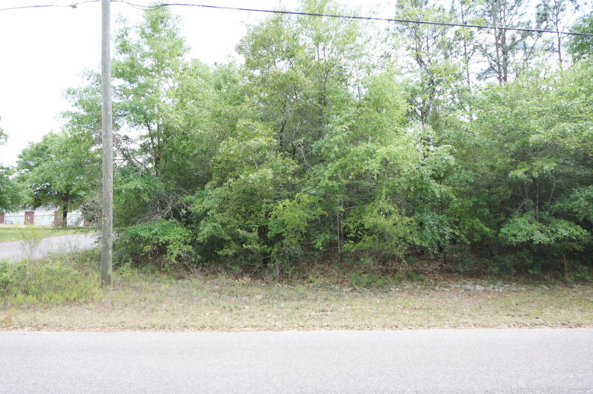 Property Photo:  Lot 7 Sam Carver Road  FL 32536 