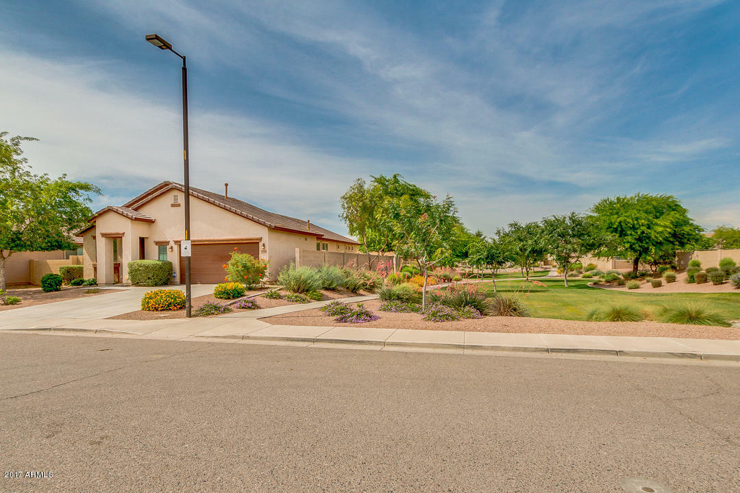 Property Photo:  616 E Trellis Road  AZ 85140 