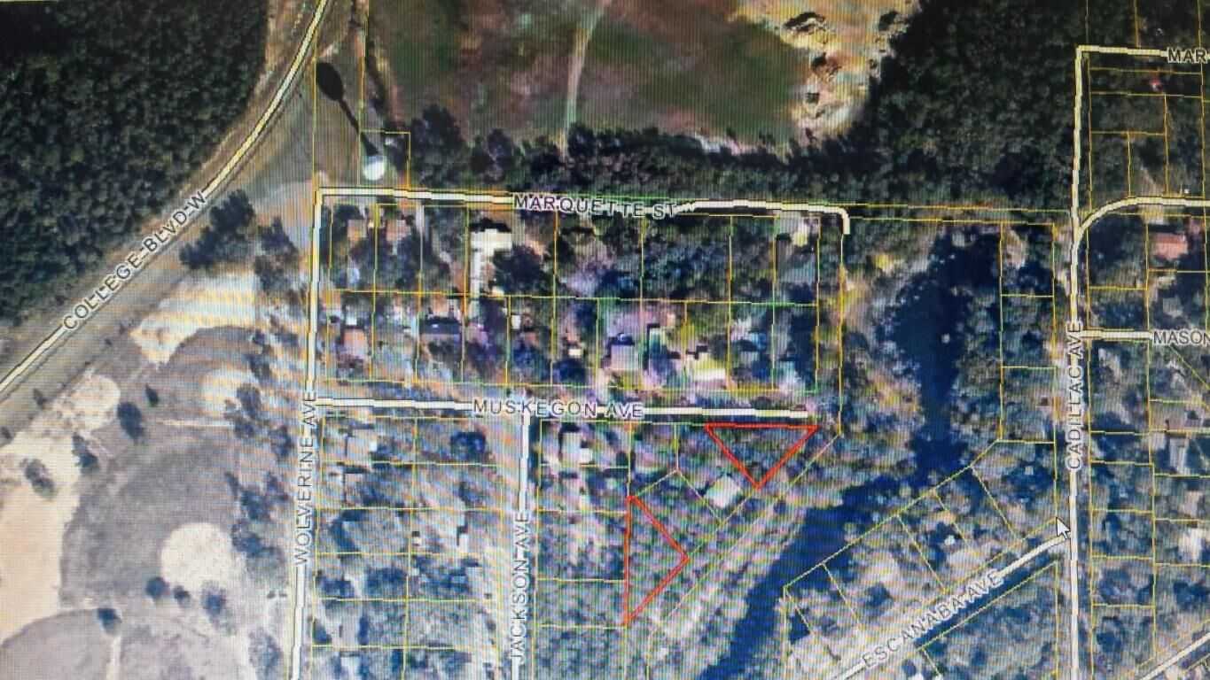 Property Photo: Lots 1&4 Muskegon Ave FL 32580
