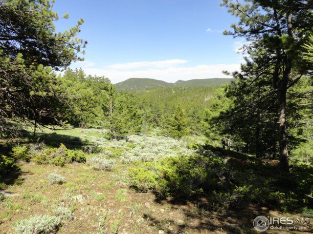 Property Photo: 59 Bigbee Rd CO 80481