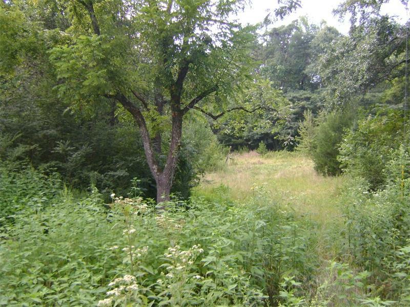 Property Photo:  364 Vinson Mountain Road   30153 