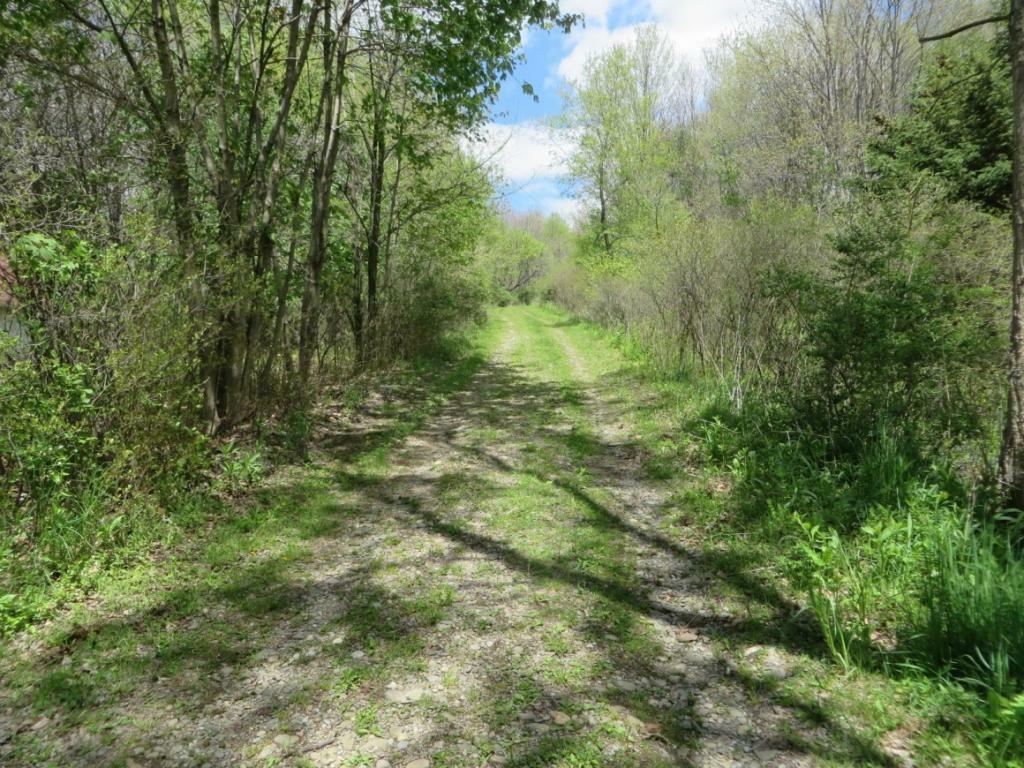 Property Photo:  365 Twist Run Road  NY 13760 