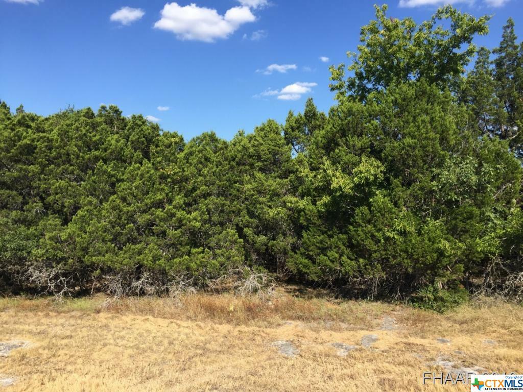 Property Photo:  15821 Salado Drive  TX 76502 