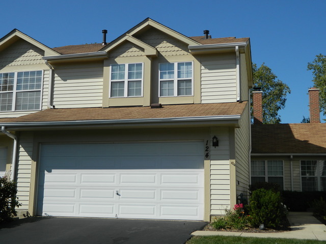 Property Photo:  124 White Pine Drive 124  IL 60193 