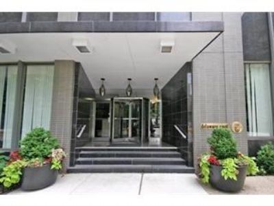 Property Photo: 253 E Delaware Place 21A IL 60611