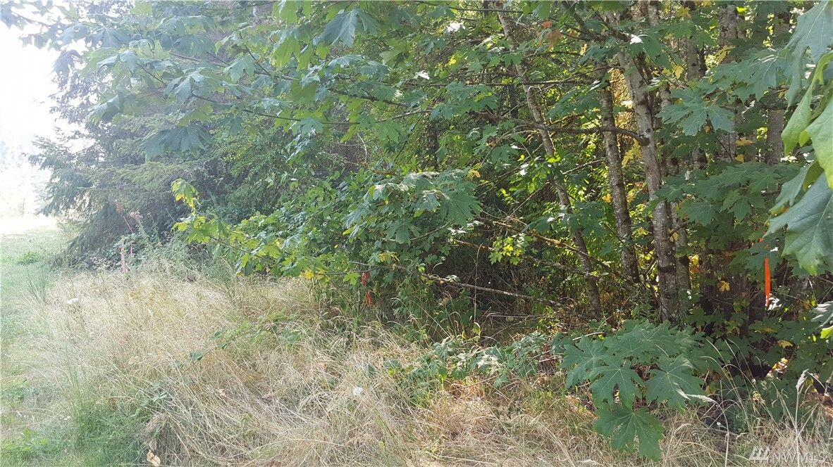 Property Photo:  14235 Rainier View Dr SE  WA 98597 