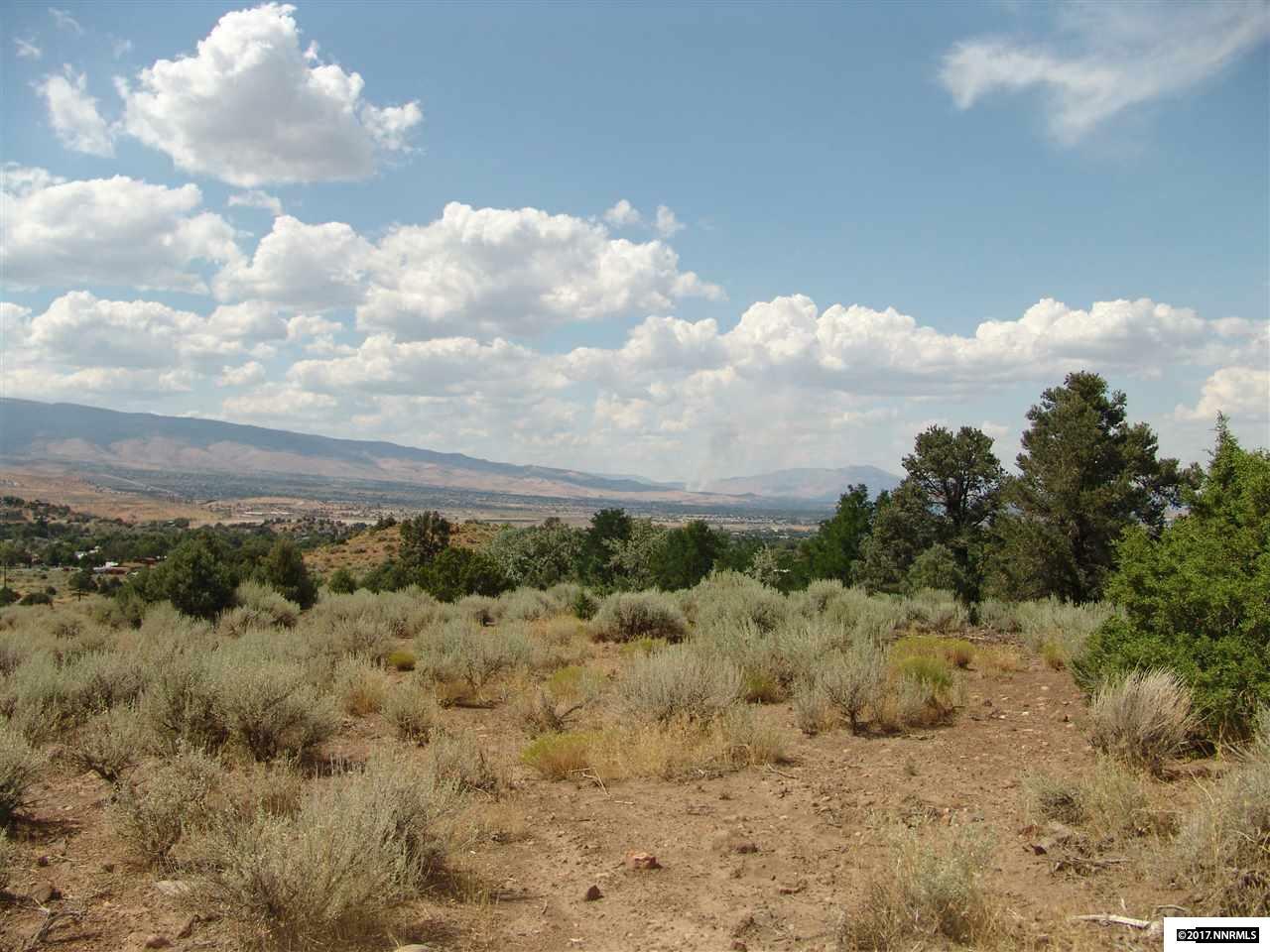 Property Photo:  0 Temple Hill  NV 89521 