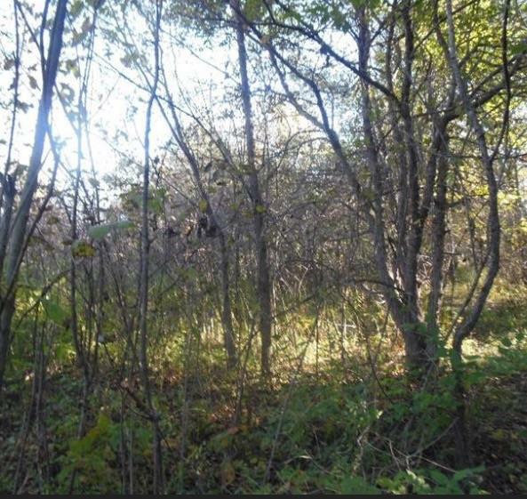 Property Photo: 3115 W 153rd Avenue IN 46307