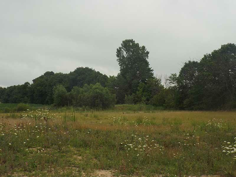 Property Photo:  808 Knollwood Rd  WI 53095-9537 