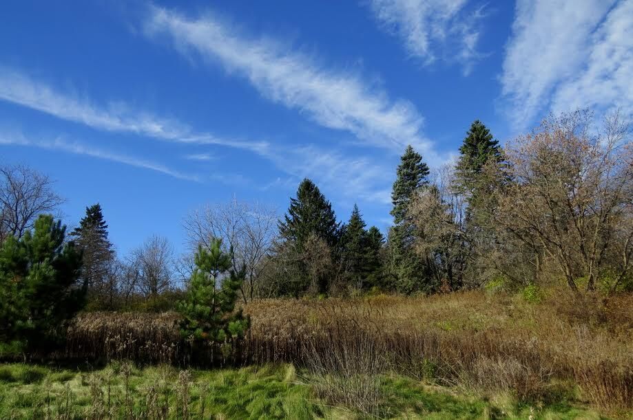 Property Photo: Lt10 Shagbark Dr WI 53040