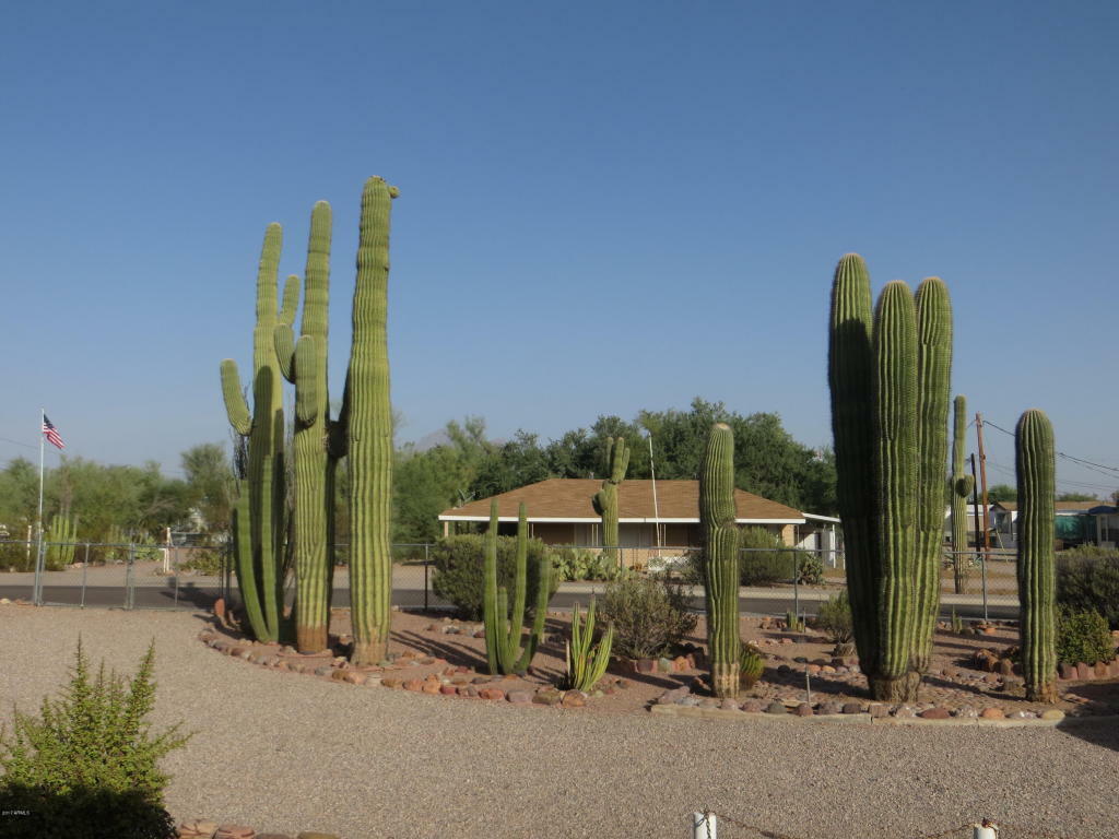 Property Photo:  462 N Saguaro Drive  AZ 85120 