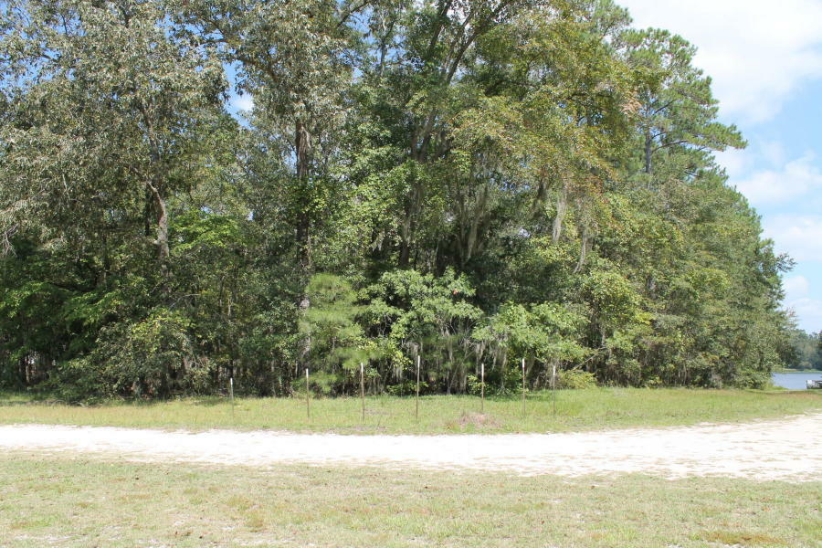 Property Photo:  2355 Cotton Lane  SC 29148 