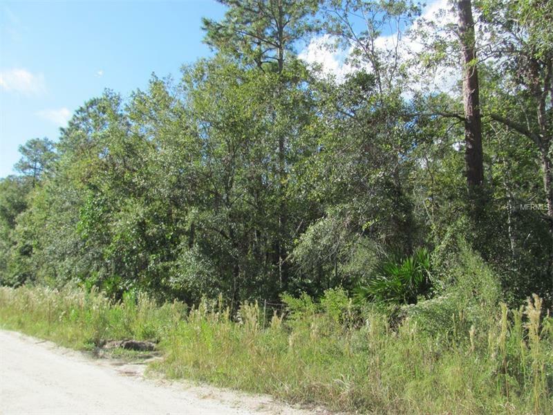 Property Photo:  1755 Old River Trail  FL 32766 