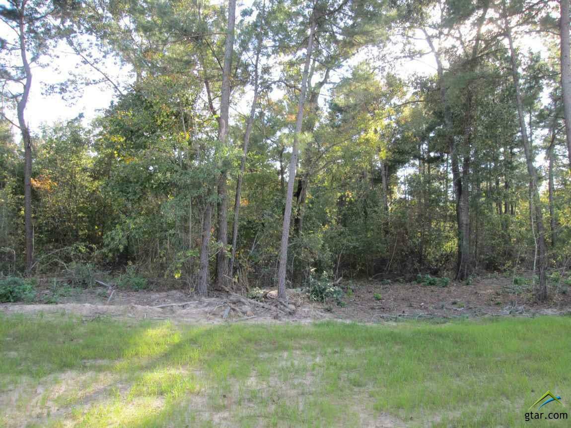 Lot 37 Little Hickory Dr  Gladewater TX 75647 photo