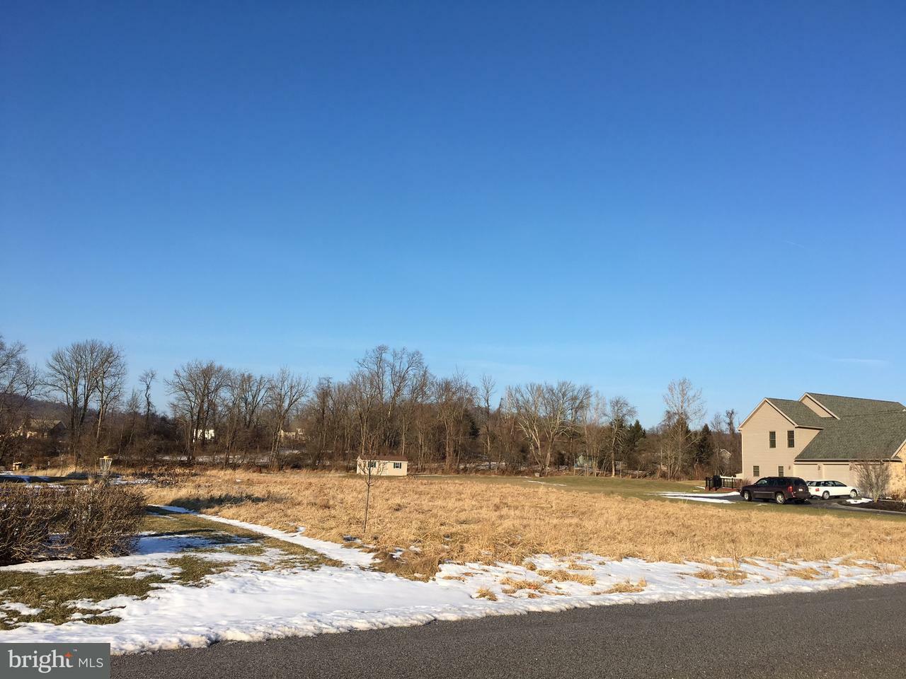 Property Photo: 217 Lily Court PA 17365