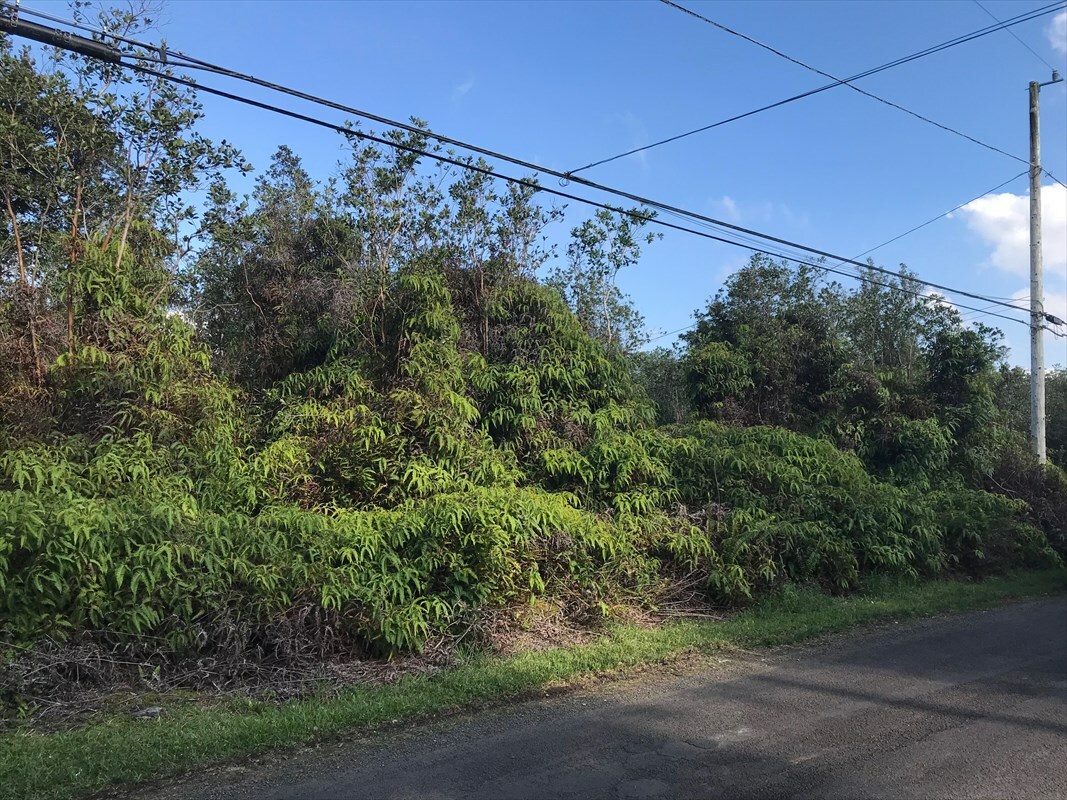 Property Photo:  Plumeria St.  HI 96771 