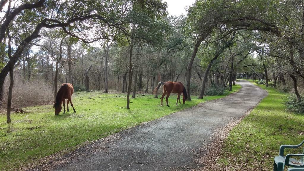 Property Photo:  215 Hy Road  TX 78610 