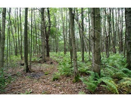 Property Photo: 8 Wauwinet Road MA 01005