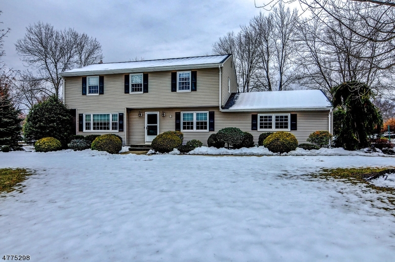 Property Photo:  250 Short Hills Dr  NJ 08807 