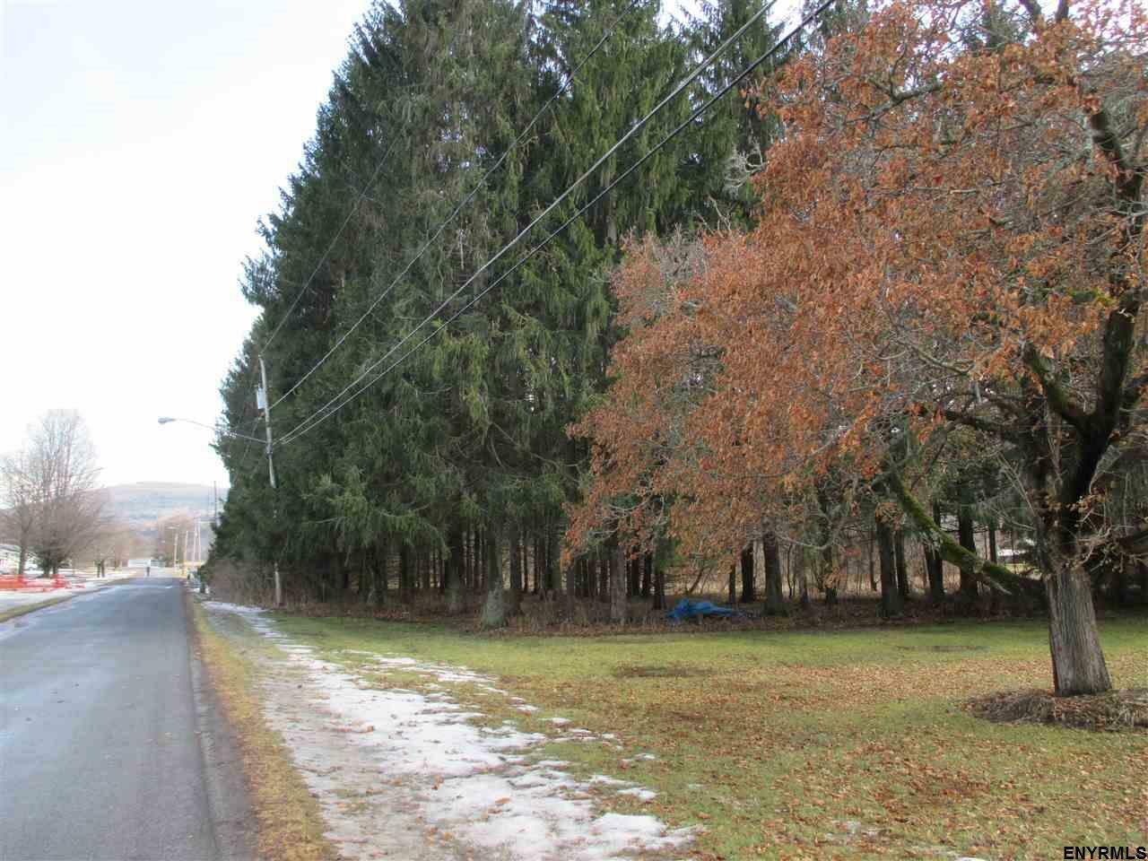 Lot #3 Squaw Trail  Middleburgh NY 12122 photo