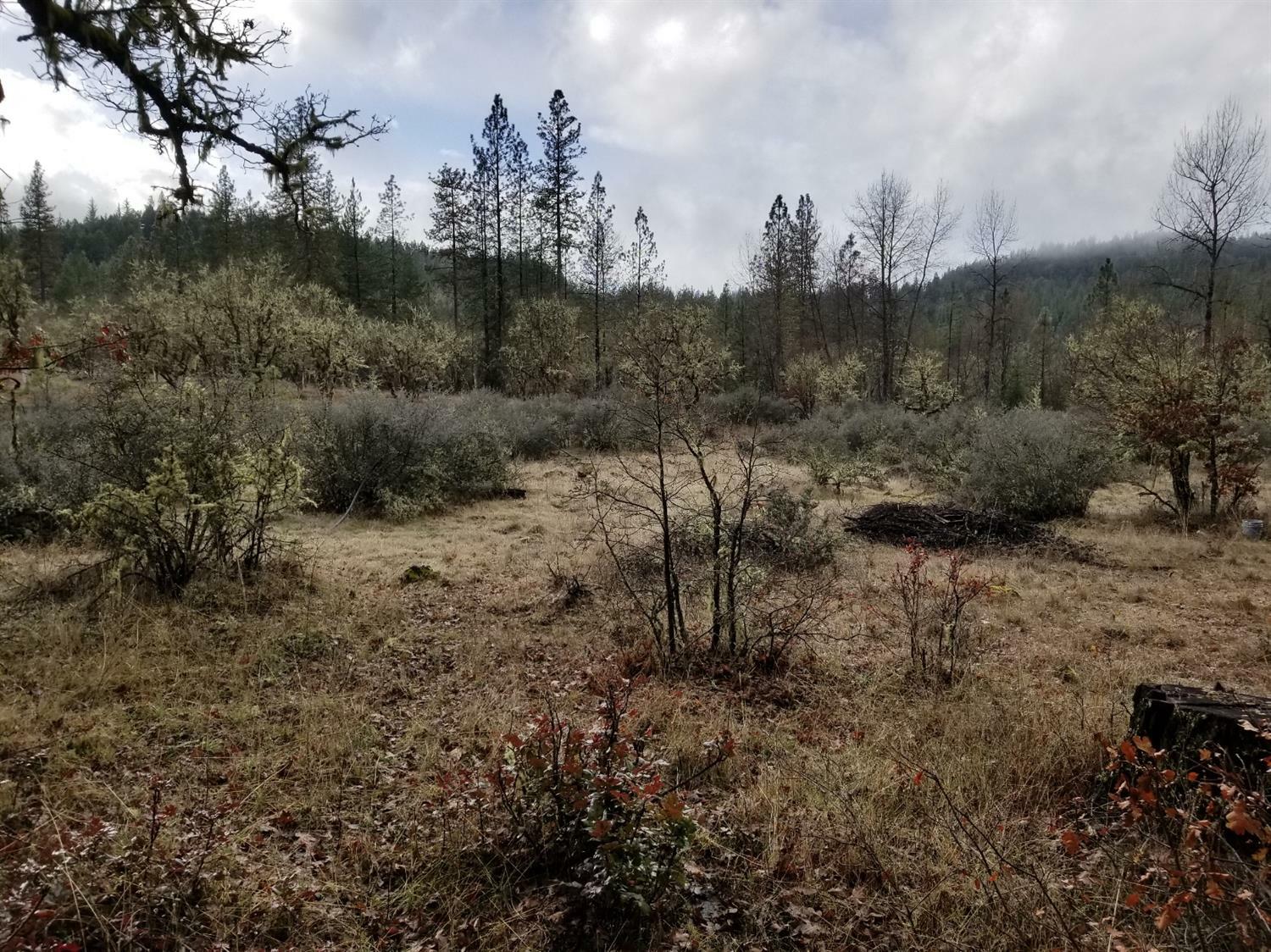 Property Photo:  9254 Butte Falls Highway  OR 97524 