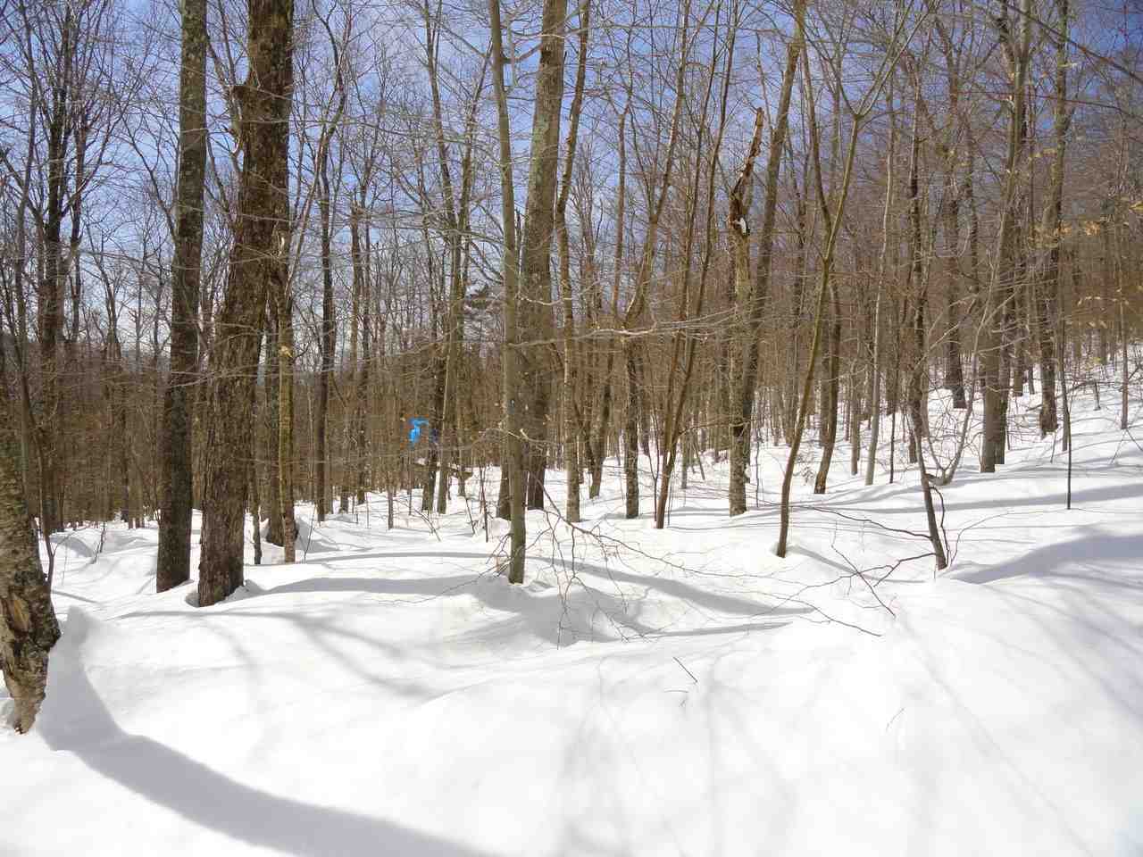 Property Photo:  3275 Camels Hump Road  VT 05462 