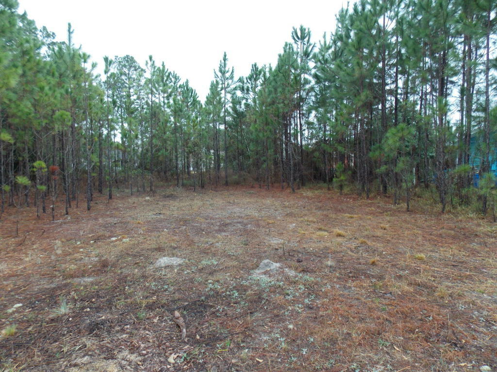 Property Photo:  2107 Coral Drive  FL 32444 