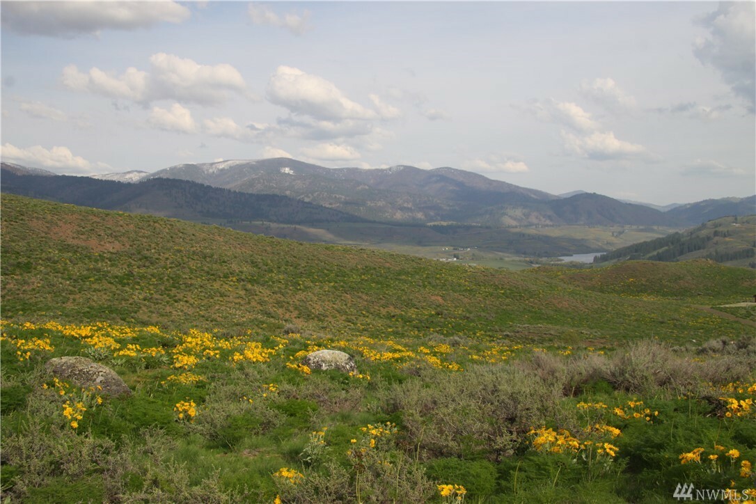 Property Photo:  54 Mule Deer Trail  WA 98862 