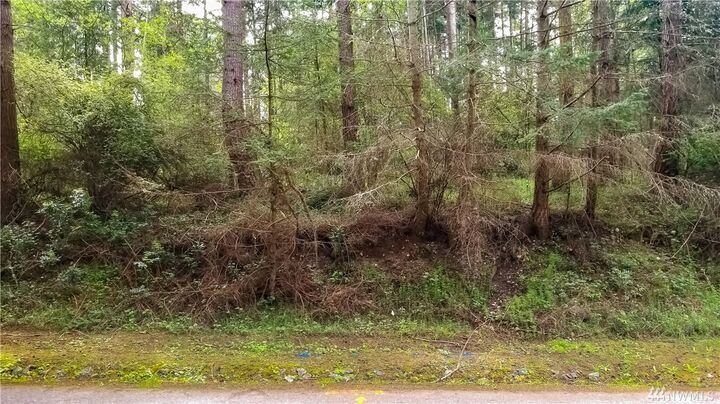 Property Photo: 0 NE Pennington Lp WA 98239
