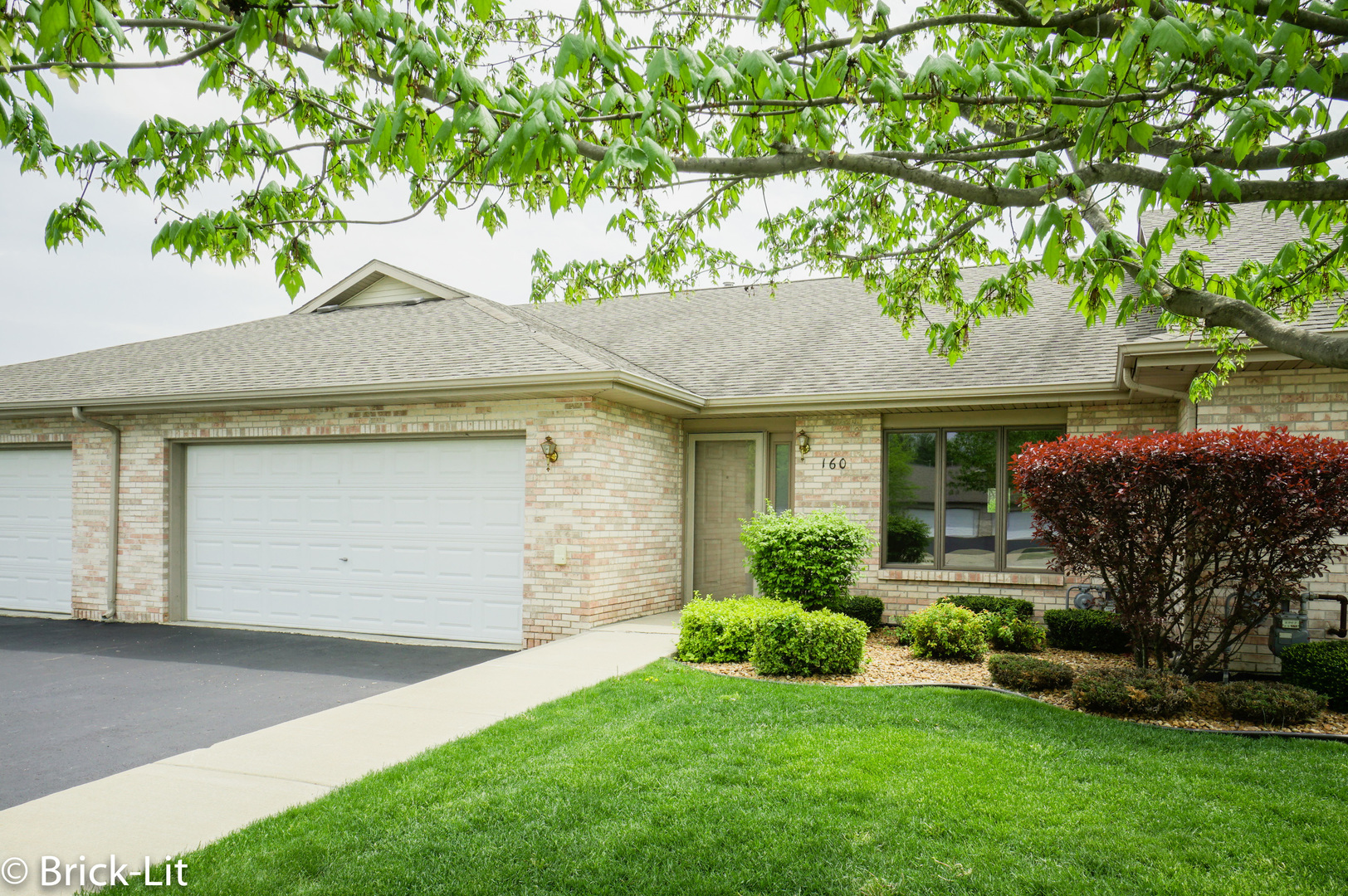 Property Photo:  160 Batson Court  IL 60451 