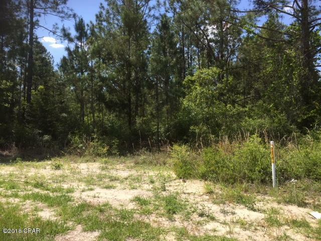 Property Photo:  0 Hwy 22 Highway  FL 32465 